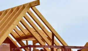 Image issue d'une base d'image