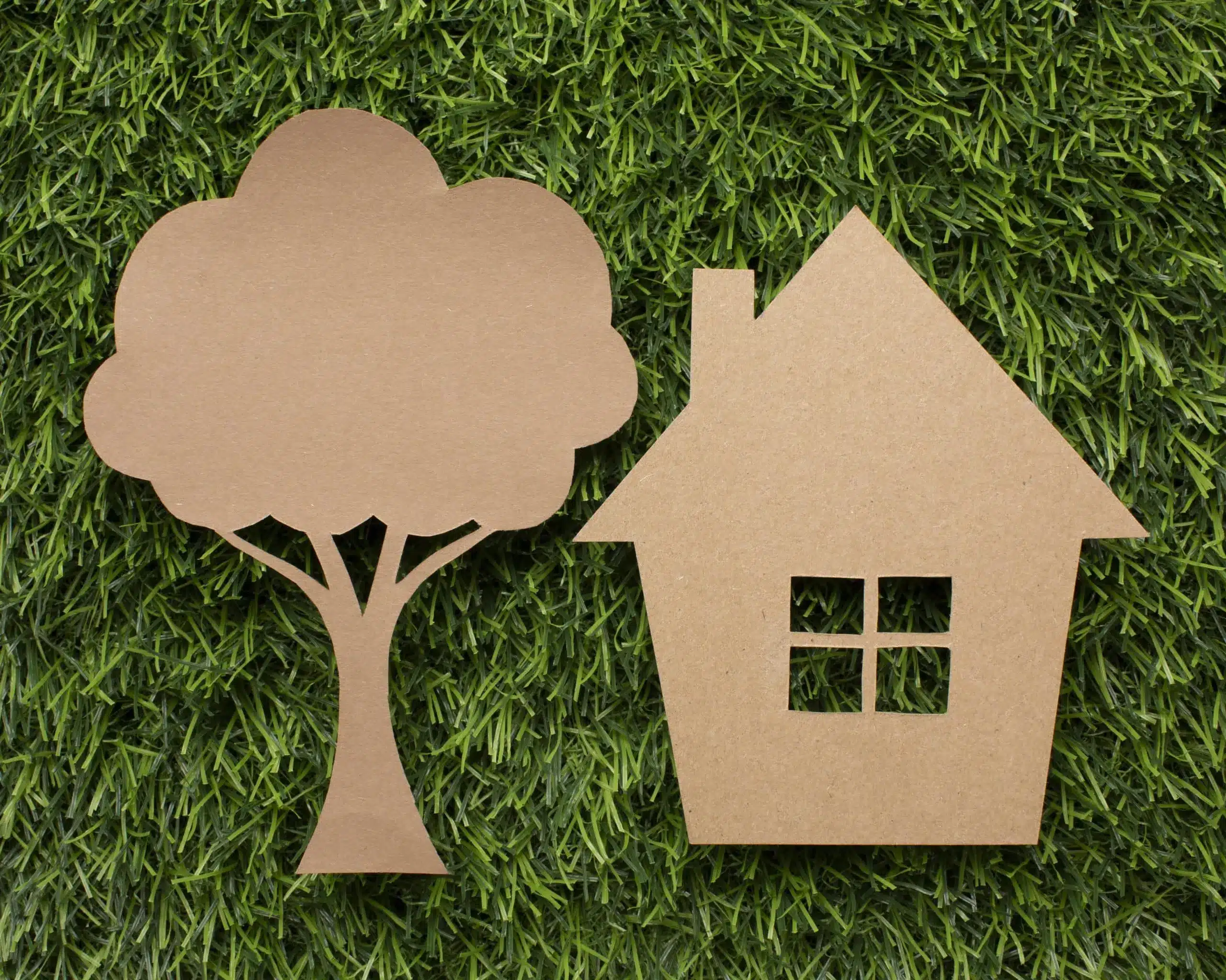 Arbre et maison sur un fond vert de pelouse
