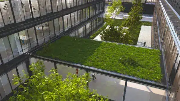 Un toit d'immeuble végétalisé