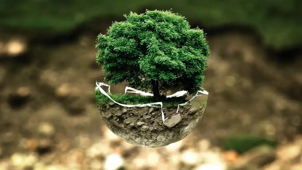 arbre avec ses branches sous terre