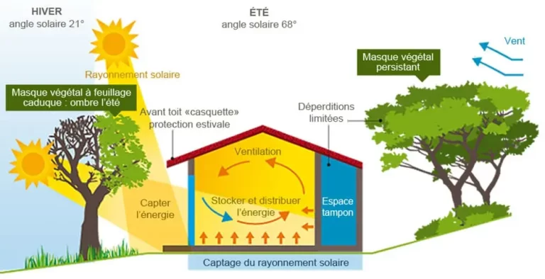 illustration du schéma bioclimatique avec 2 arbres et une maison