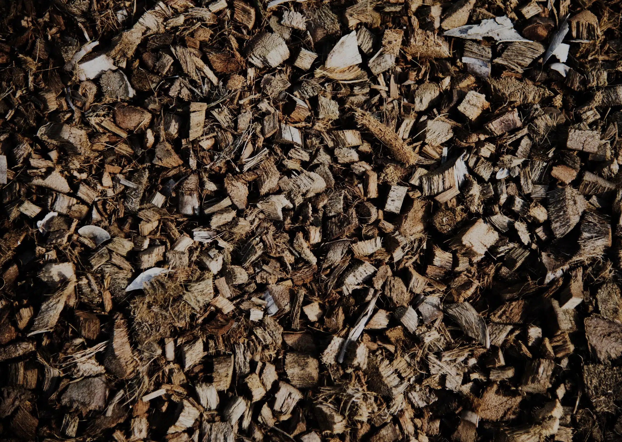 Biochar