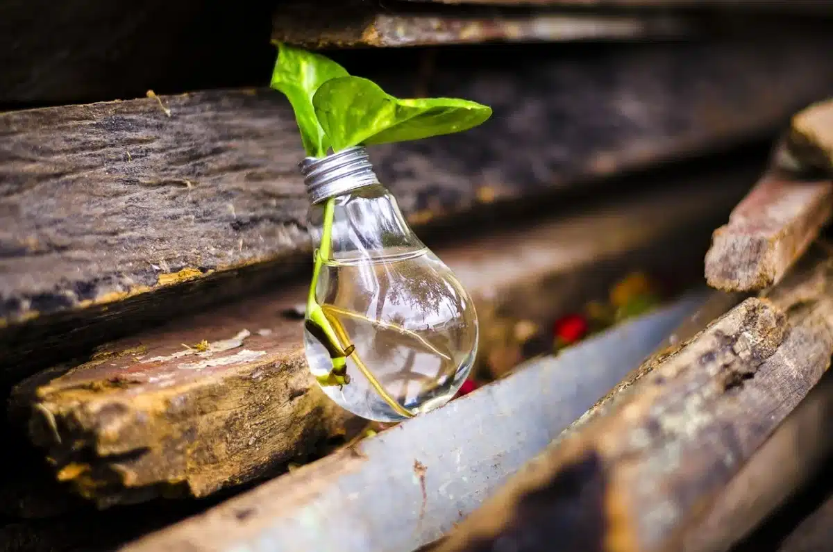 Une ampoule recyclée