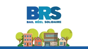 Logo BRS