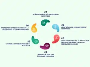 Schéma taxonomie Europe