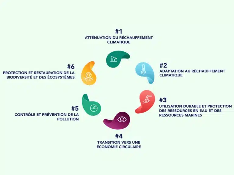 Schéma taxonomie Europe