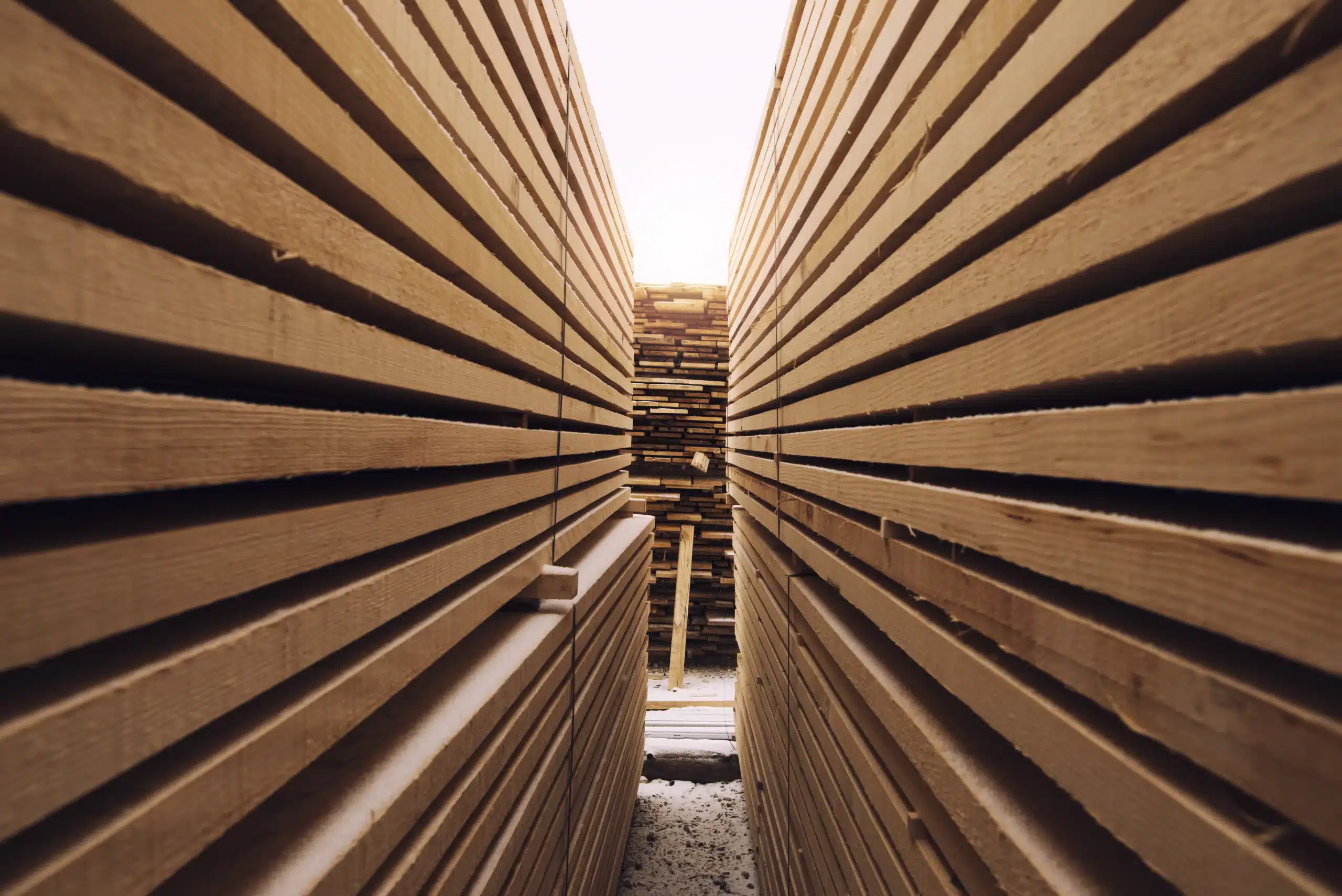 Construction en bois
