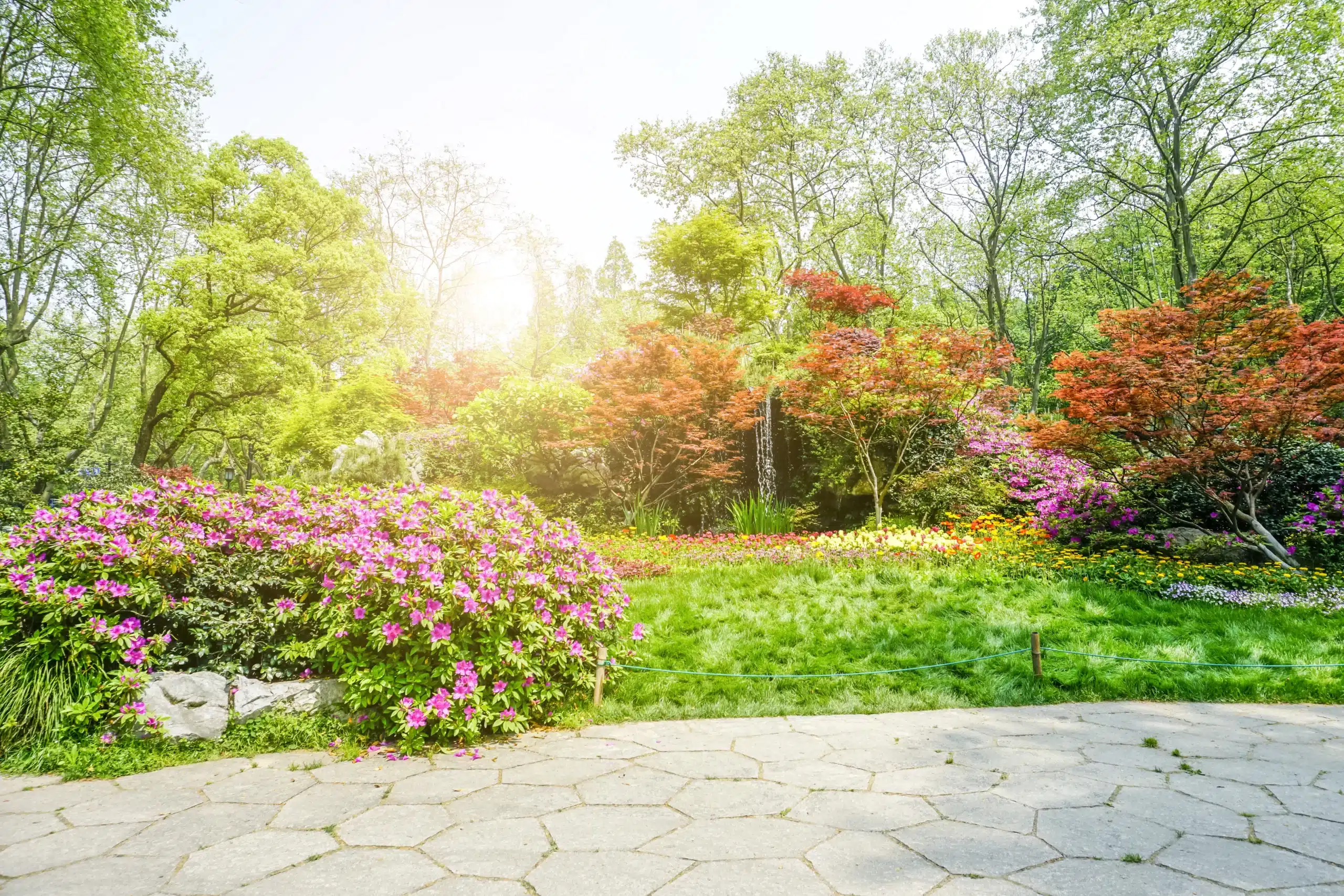 jardin
