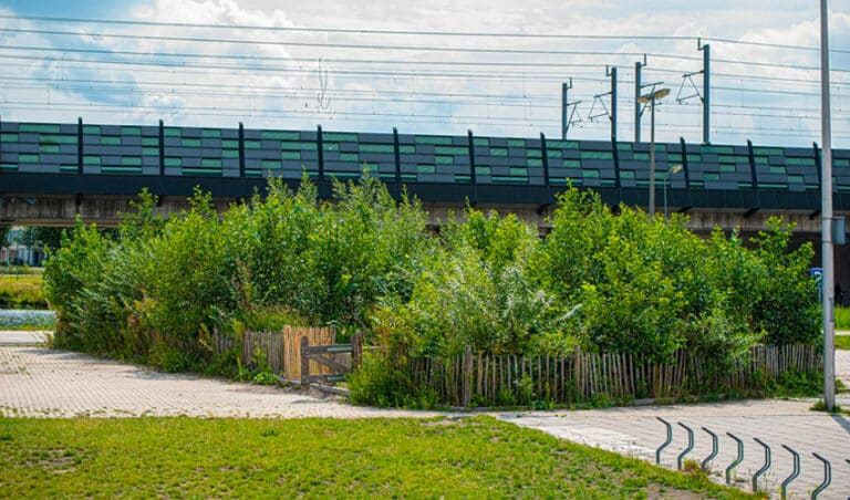 micro forêt urbaine