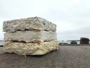 Culture de mycélium sur substrat végétal pour la construction biosourcée