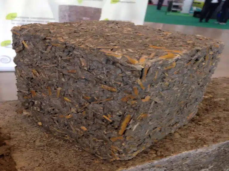 le miscanthus - une herbe qui révolutionne la construction