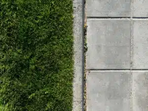 un sol imperméable coupe le cycle naturel : Découvrez comment le béton détruisent les sols