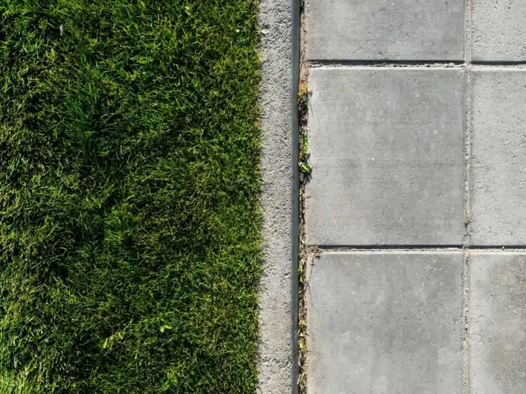 un sol imperméable coupe le cycle naturel : Découvrez comment le béton détruisent les sols