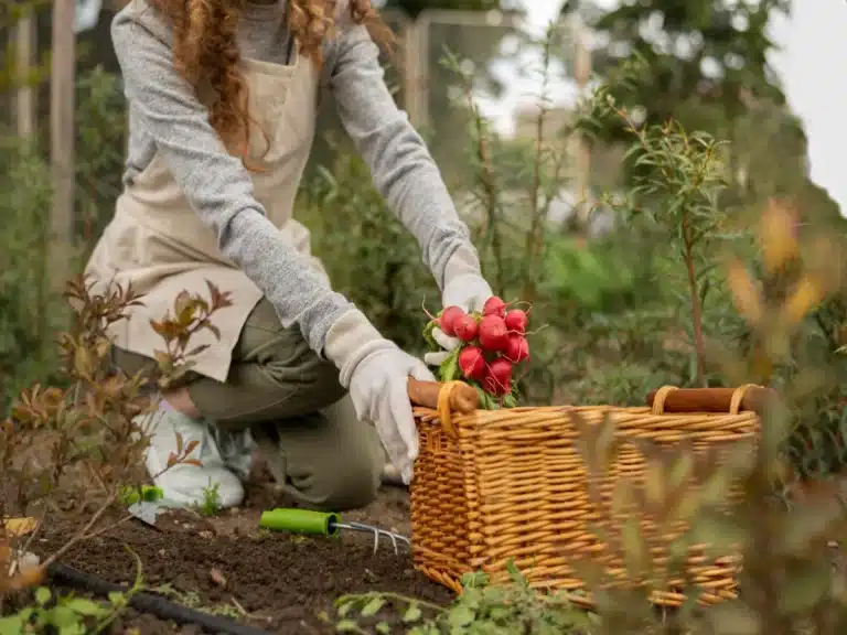 Sol vivant comment protéger votre jardin
