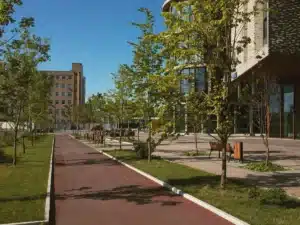 Espaces verts en ville pour le rafraîchissement des villes