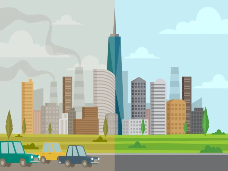 le métabolisme linéaire ou circulaire