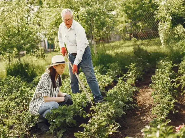 Jardins partagés et familiaux : une forte demande
