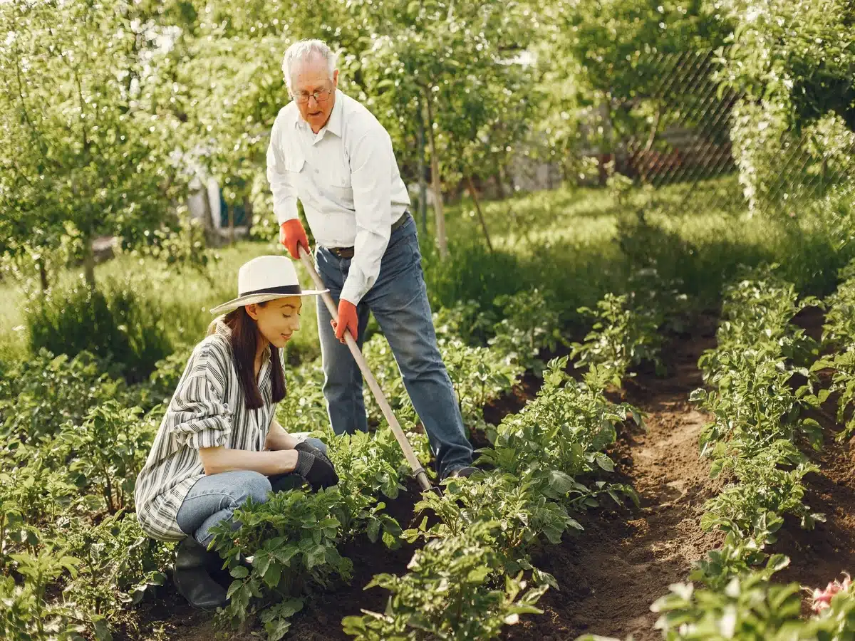Jardins partagés et familiaux : une forte demande