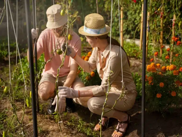 Des pelouses aux jardins cultivés