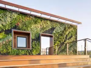 Qu’est-ce qu’un mur végétal extérieur ?