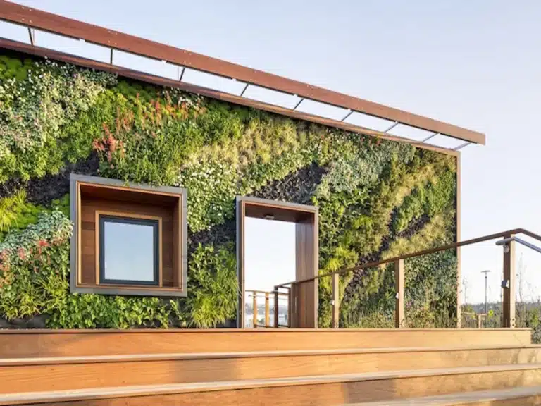 Qu’est-ce qu’un mur végétal extérieur ?