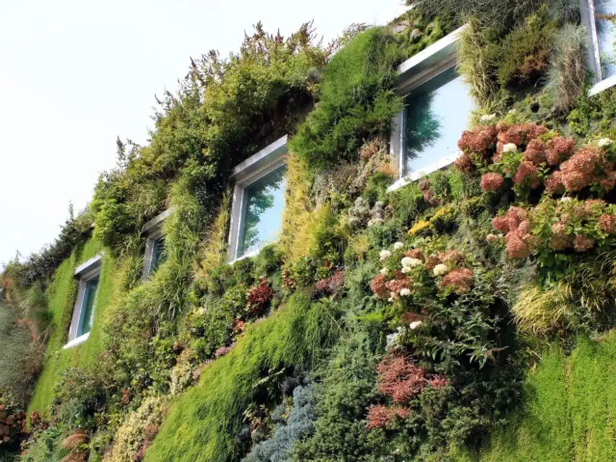 Dans quels cas le mur végétal extérieur est pertinent ?
