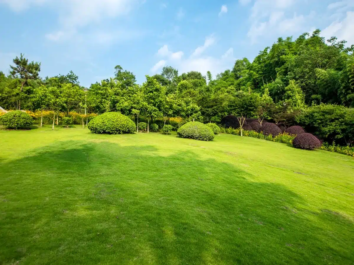Les pratiques qui permettent de garder un jardin vert