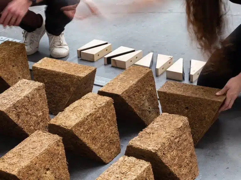 Construction durable : pourquoi les matériaux végétaux progressent dans le bâtiment